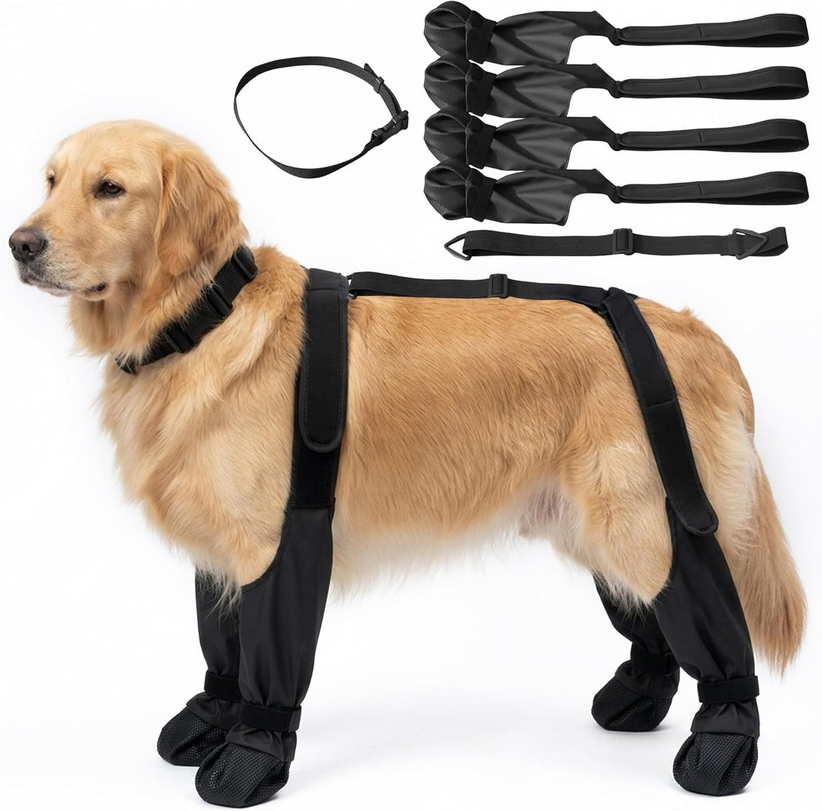Zapatillas Antideslizantes para Perros | Protección y Comodidad