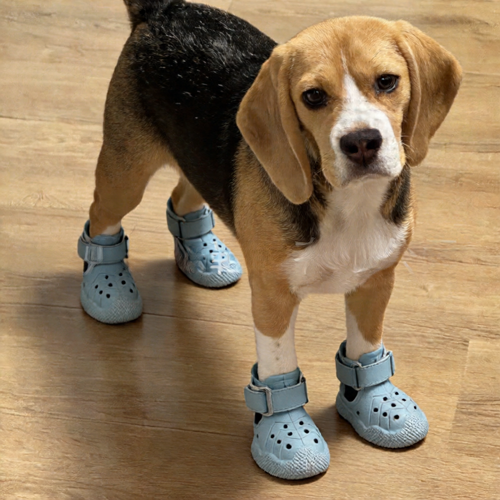 Zapatillas para Perros Antideslizantes e Impermeables | Protección y Comodidad
