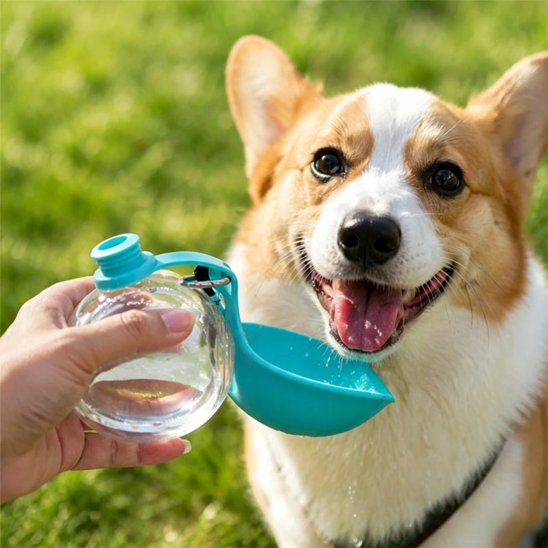 🐶Botella Portátil de Agua para Perros | Bebedero 2 en 1 Antigoteo