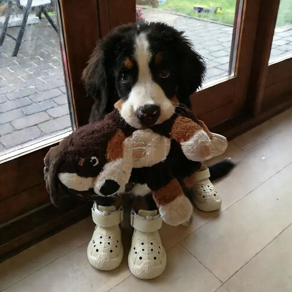 Zapatillas para Perros Antideslizantes e Impermeables | Protección y Comodidad