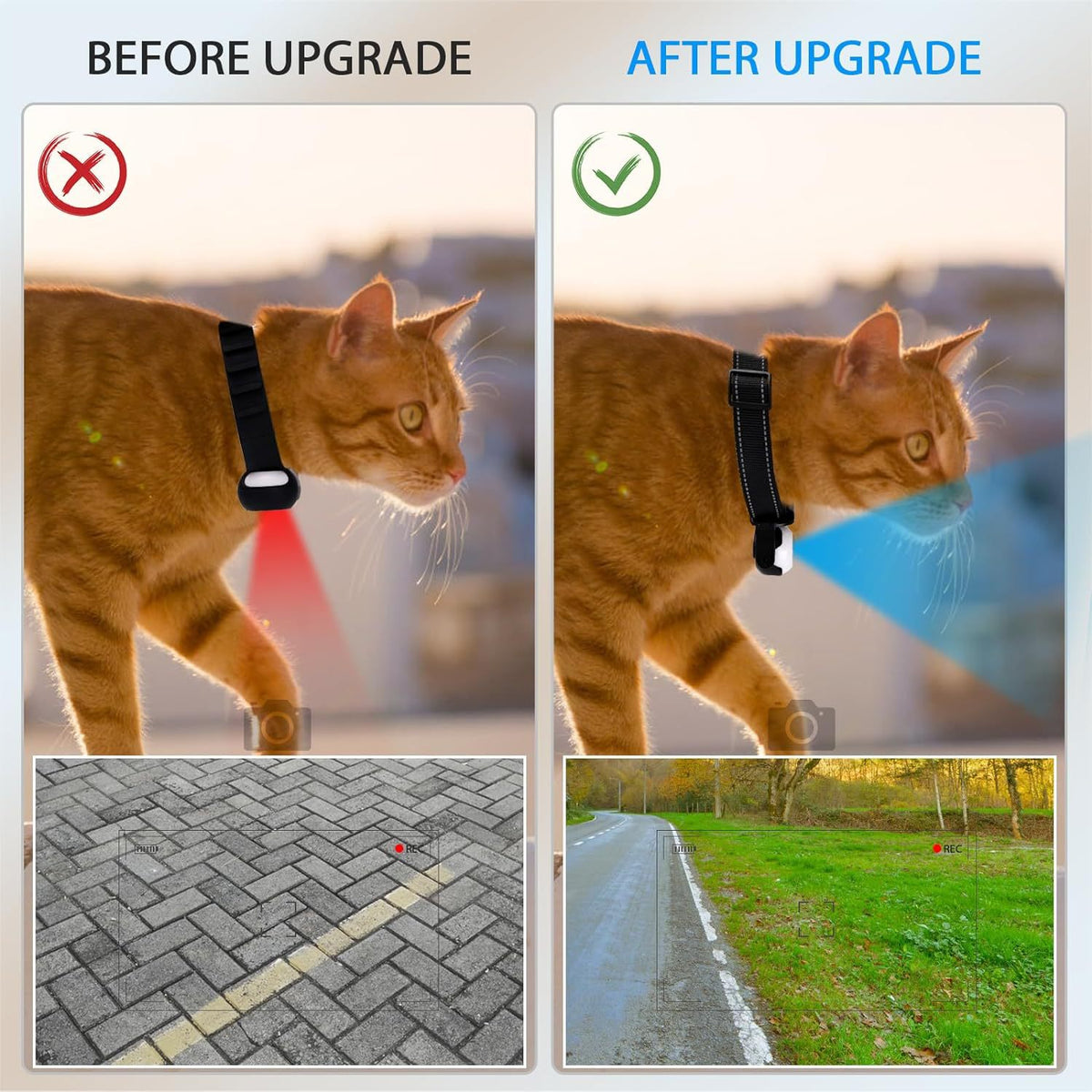 Cámara HD 1080P para Collar de Mascotas | Cámara Giratoria 360° para Perros y Gatos